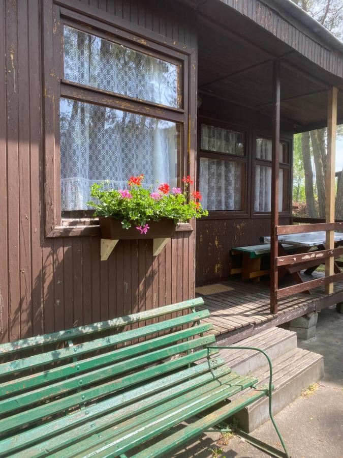 Domki Szumi Las Villa Mrzezyno Bagian luar foto