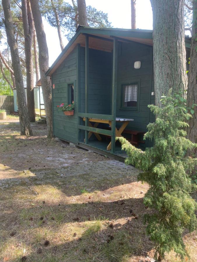 Domki Szumi Las Villa Mrzezyno Bagian luar foto