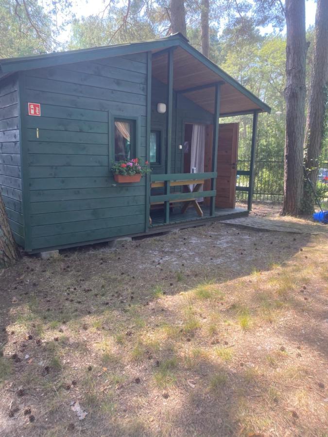 Domki Szumi Las Villa Mrzezyno Bagian luar foto